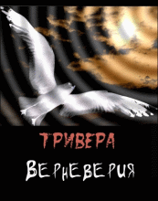 Верневерия - Тривера