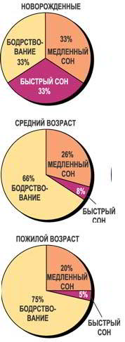 Возрастные нормы сна