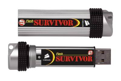 Flash Survivor GT