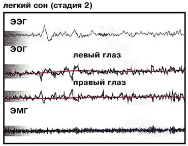 Фрагмент полиграммы