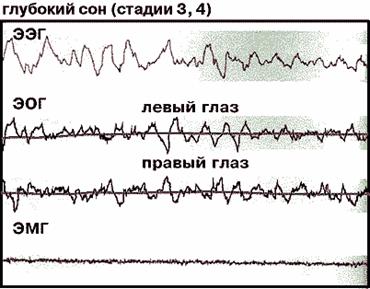 Фрагмент полиграммы