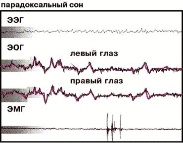 Фрагмент полиграммы